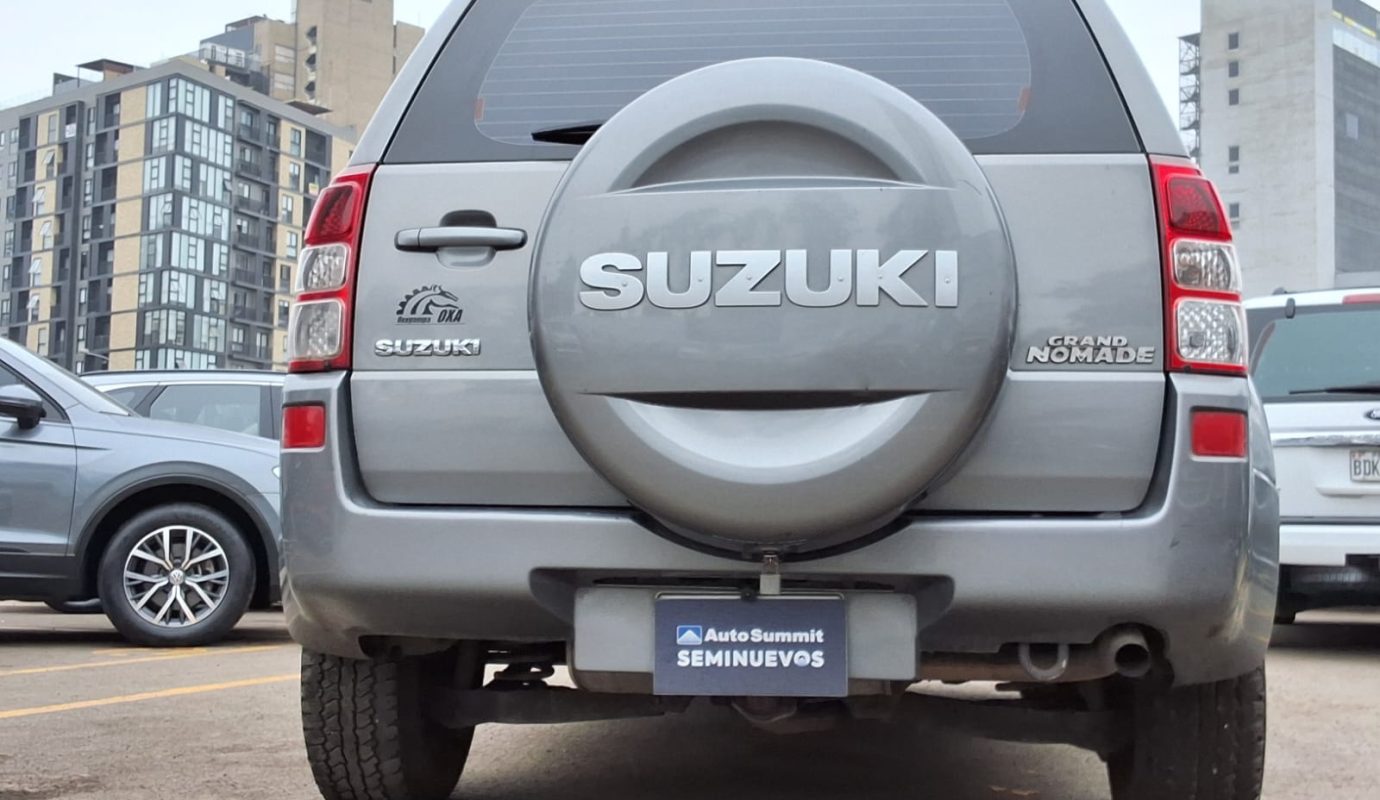 SUZUKI GRAND NOMADE 2010